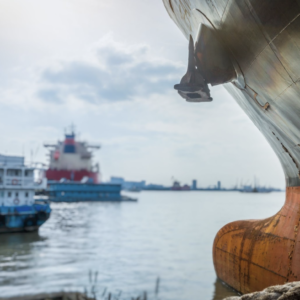 multilingual translation fisheries sector