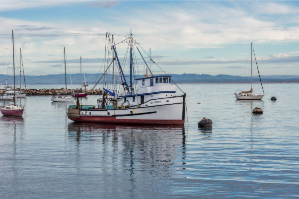 Cultural Adaptation of Regulatory Messages in the Fisheries Industry