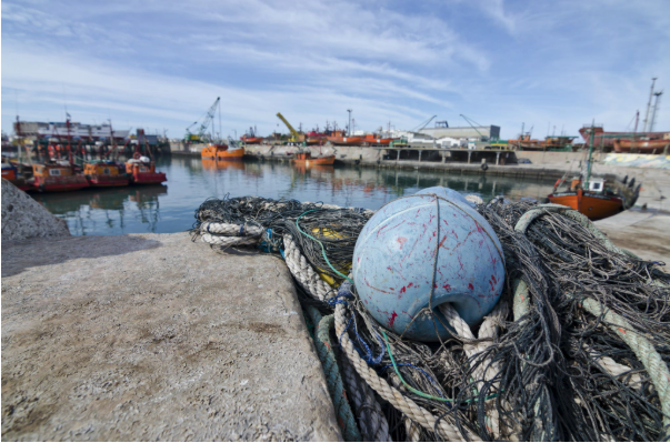 Exported Fishery Products